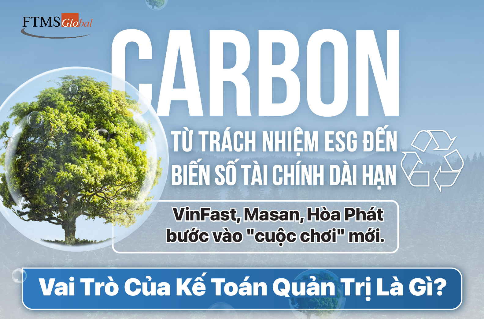 Carbon Credit: Cơ Hội Hay Thách Thức Cho Kế Toán Quản Trị Việt Nam?