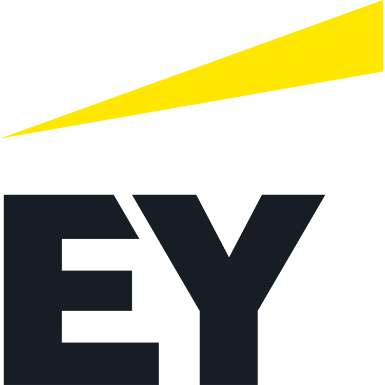 Ernst & Young (E&Y)